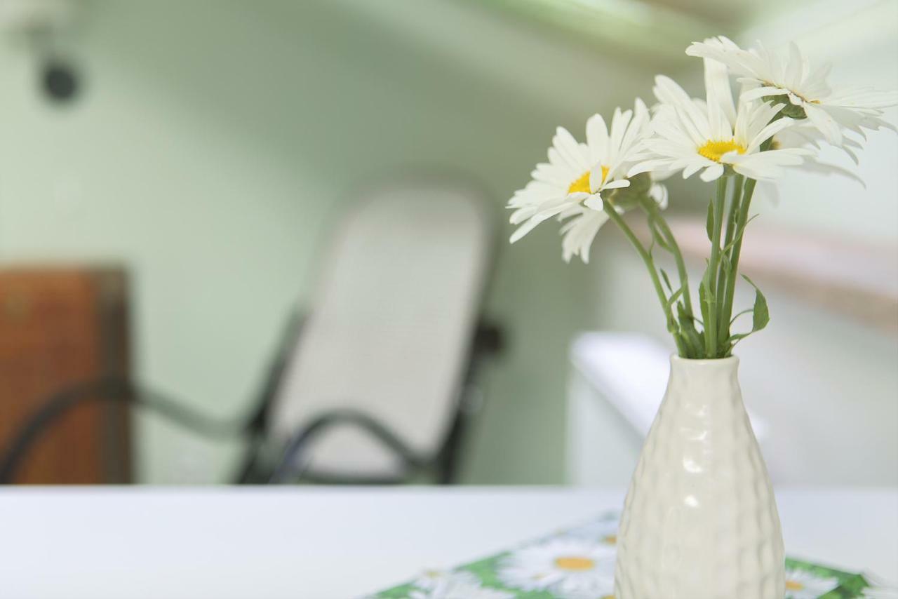 Apartament Zeleny Statek Bzova Zewnętrze zdjęcie