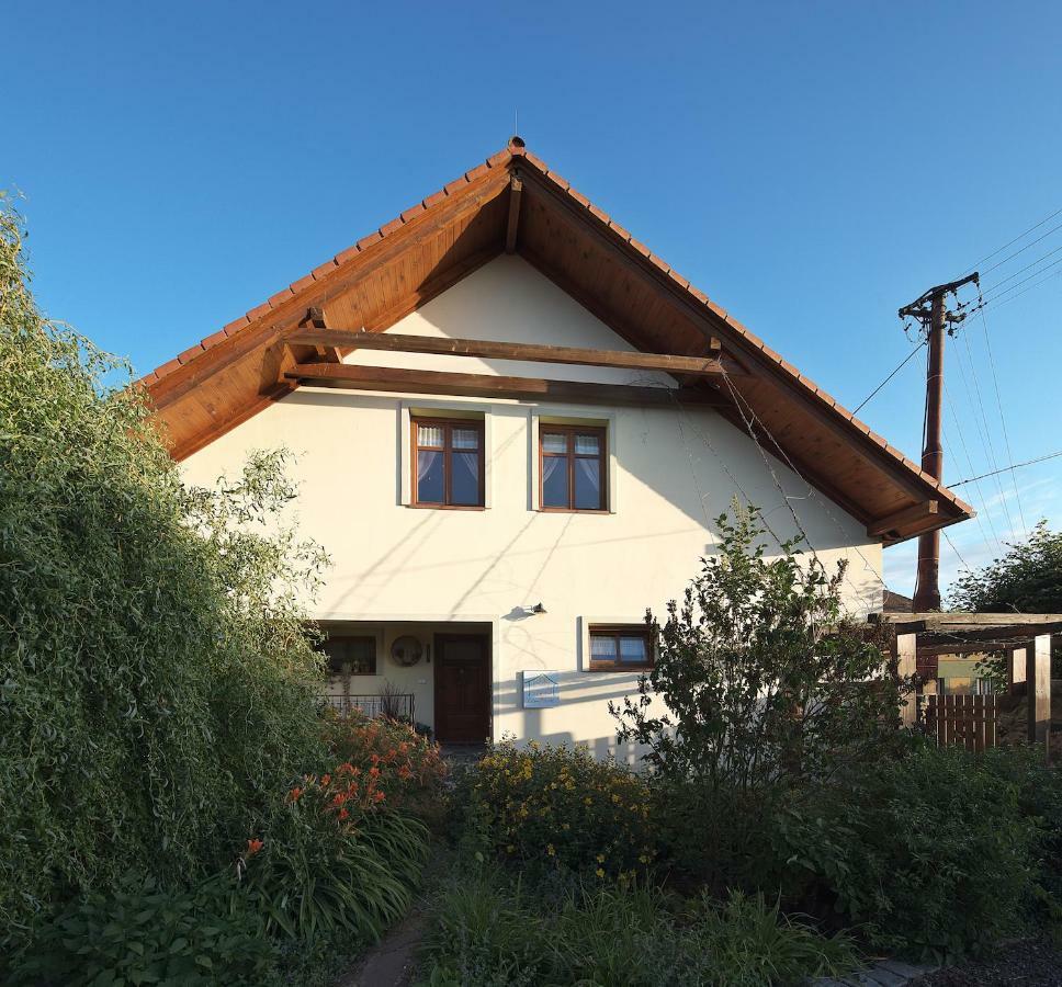 Apartament Zeleny Statek Bzova Zewnętrze zdjęcie